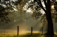Schönes Licht an einem kalten Morgen im November