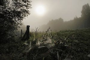 Mist, zon, dauw von Jan Sportel Photography