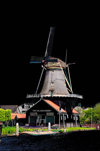 de Salamander by ZEVNOV .