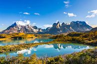 De weerspiegeling van het Lago Pehoe en de Cuernos Pieken in de ochtend, Torres del Paine Nationaal  van Dieter Meyrl thumbnail