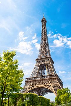 The Eiffel Tower in Paris by Günter Albers