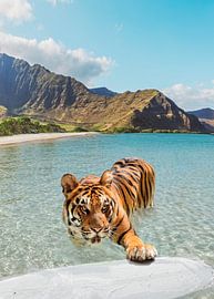 Tiger and Surfboard by Gal Design