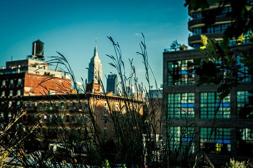 New York City Foto op Canvas – Brooklyn Bridge Dumbo Wanddecoratie
