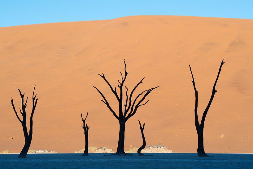 Het landschap van Deadvlei in de morgen. van Jos van Bommel