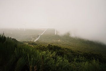 Fog in landscape by Dian Schuurkamp
