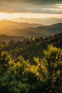 Sommerliche Hügellandschaft bei Sonnenaufgang