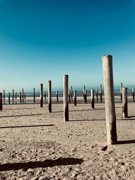 Palendorp of Petten by Klazina Visser