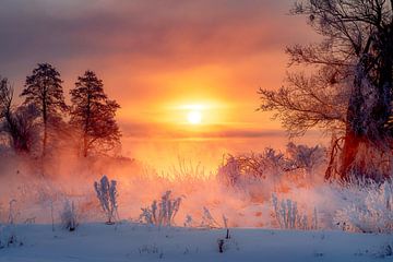 De adem van een ijzige ochtend van Krzysztof Tollas