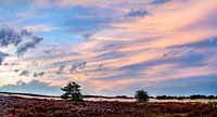 Zonsondergang Loonse en drunense duinen van Dave Verstappen thumbnail