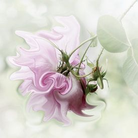 Pastel in Pink by Yvonne Blokland