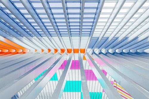 Station Luik Guillemins van Daan Duvillier | Regio in de Kijker