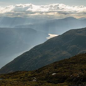 Noorwegen zonsondergang in Fjord van stan van der sluis
