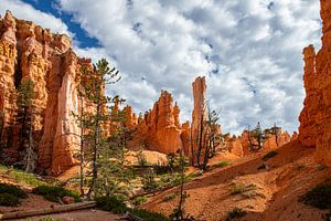 Bryce-Canyon-Nationalpark, Utah USA
