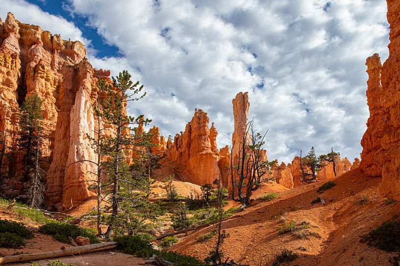 Bryce Canyon National Park, Utah USA by Gert Hilbink