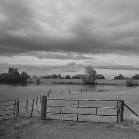 Silence before the Storm. by Jose Lok