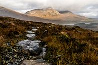 Beinn na Caillich, von Bla Bheinn Trail, Isle of Skye, Schottland von Paul van Putten Miniaturansicht