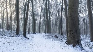Neigembos Winter Landschap, Vlaanderen