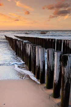 Paaltjes bij ondergaande zon