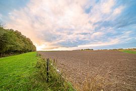 Landschap naast het bos met een aarde weg. van Marcel Derweduwen
