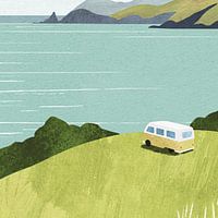 Secret Safari Histor 2026