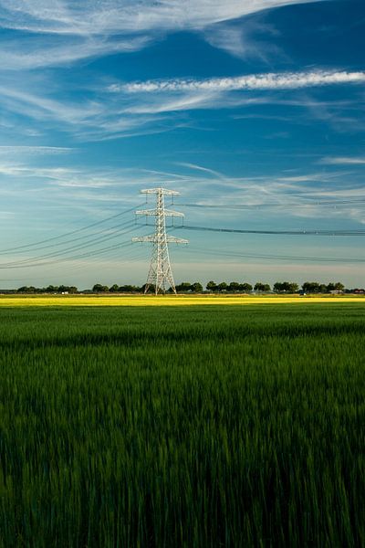 dogback landscape by Niels Heijne