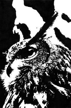 Europese Oehoe (Bubo bubo) zwart wit inkttekening 