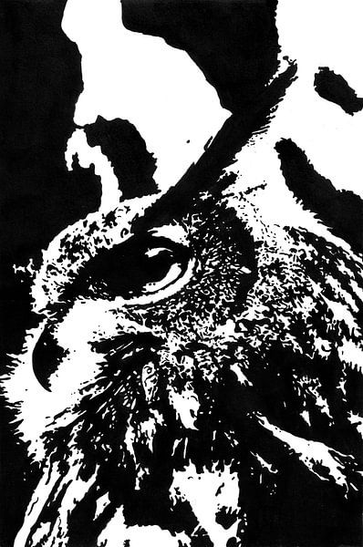 Europese Oehoe (Bubo bubo) zwart wit inkttekening  van Fotojeanique .