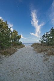 Passage sur la plage d'Usedom avec vue sur la mer Baltique sur Martin Köbsch