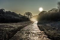 Landschap Sunlight
