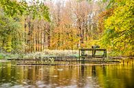 Teich mit rostigen Installationen in einem Herbstwald von Frans Blok Miniaturansicht
