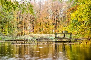 Teich mit rostigen Installationen in einem Herbstwald