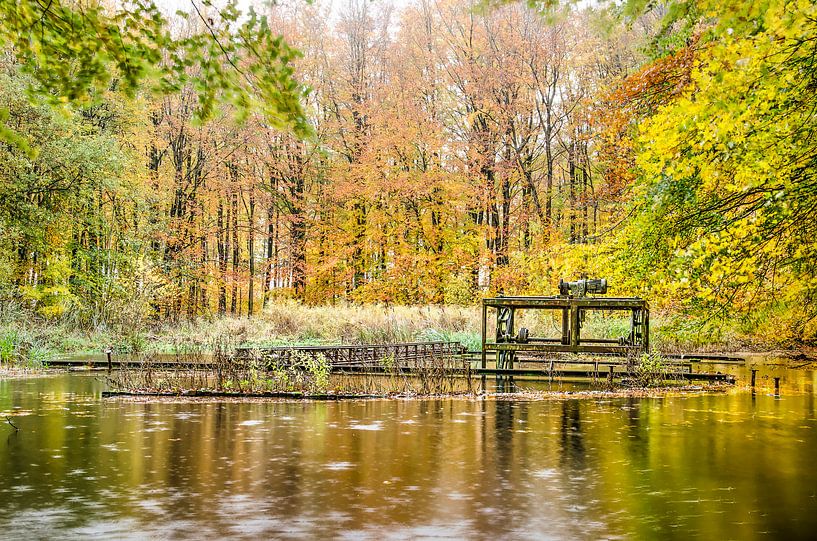 Teich mit rostigen Installationen in einem Herbstwald von Frans Blok
