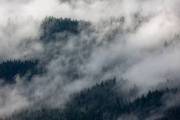 Magie du brouillard : paysages de montagne en Autriche sur Jacob Molenaar