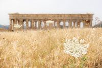 Segesta op Sicilie