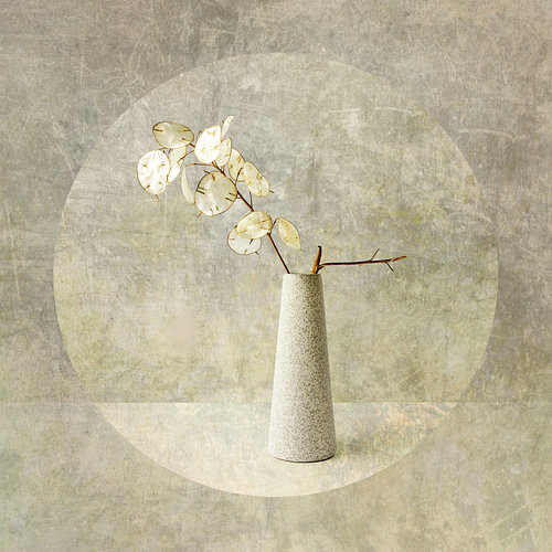 Still life with flowers. Japandi. Judas medal.