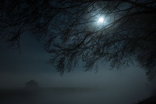 Mystical night