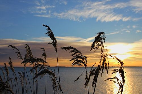 Ochtendsfeer op de Bodden