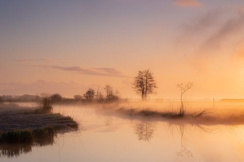 Lever de soleil dans le parc national de Weerribben-Wieden
