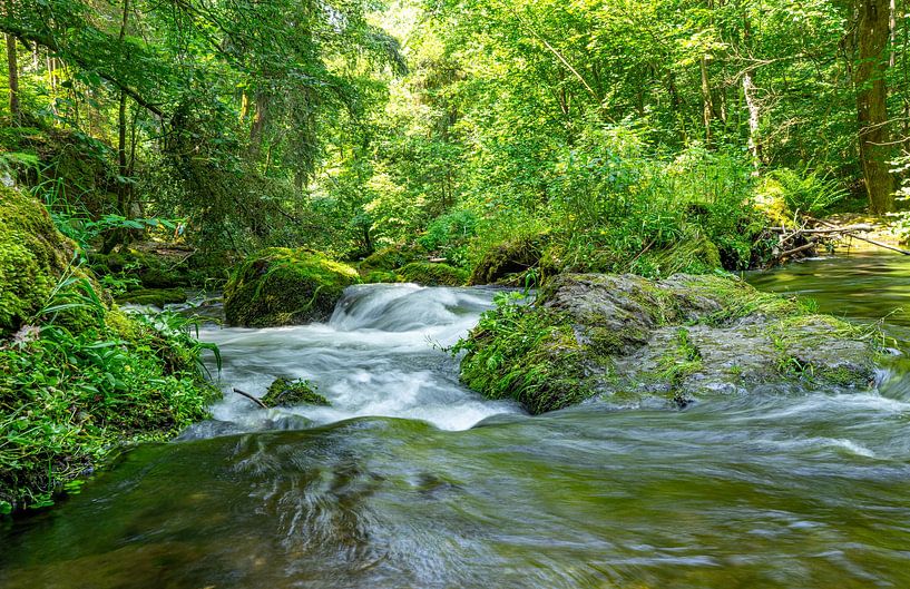Rivière dans la vallée de la Trieb Vogtland Cascade Nature 01 par Animaflora PicsStock