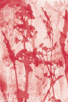 Abstract Botanical. Flowers, plants and grasses in red and white by Dina Dankers