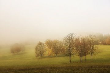 Paysage automnal avec brouillard et un peu de soleil près d'Eigeltingen dans le Hegau sur BlattArt - Christine Horn