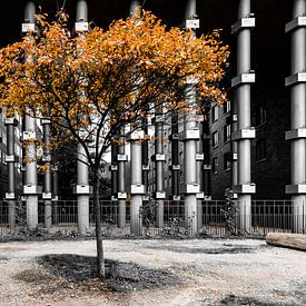 architecture meets nature by ard bodewes
