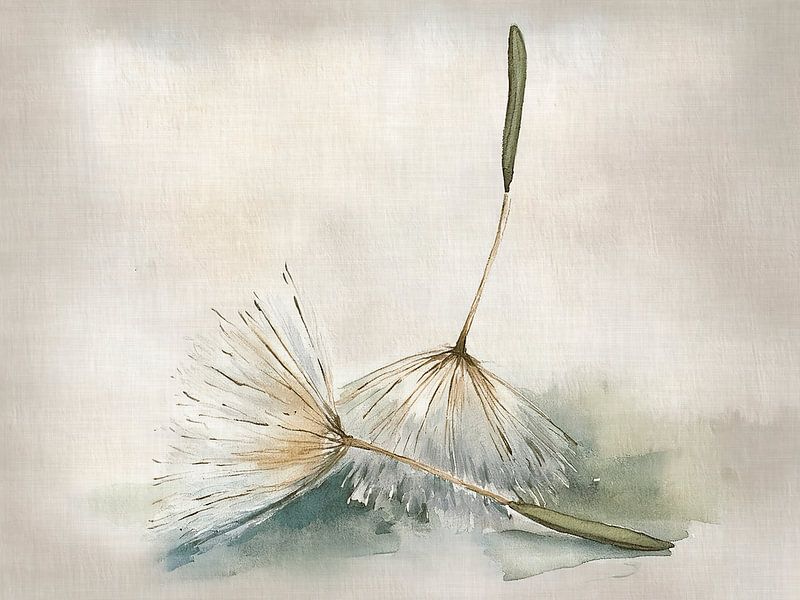 Pluisjes van de Paardenbloem (Dandelion) van Studio Pieternel