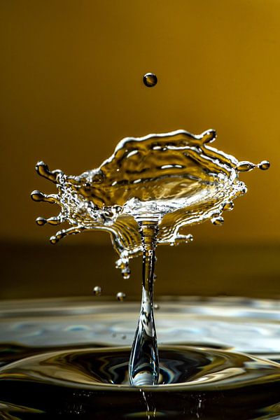Waterparaplu van Thomas Riess