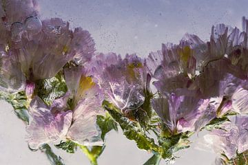 Sea lavender in ice cream