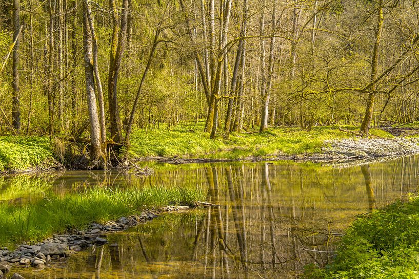 Fluß im Frühling von Achim Prill