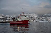 Skandinavisches Fischerboot von Merijn Loch Miniaturansicht