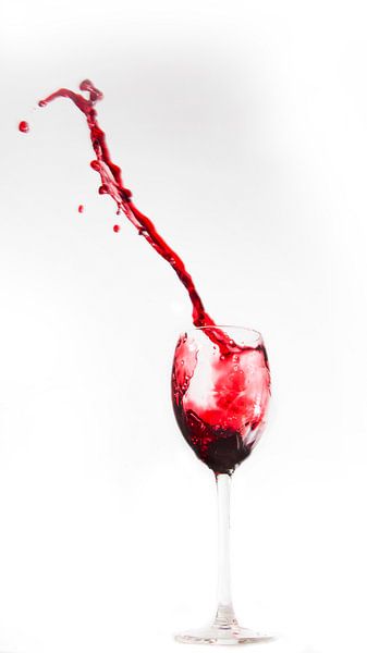 wine up van Anneke Kroonenberg
