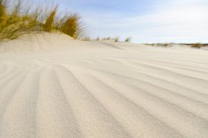 Kleine Dünen am Strand während eines schönen Frühlingstages