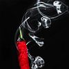 Hete brandende rode spaanse peper, Hot burning red pepper van Corrine Ponsen